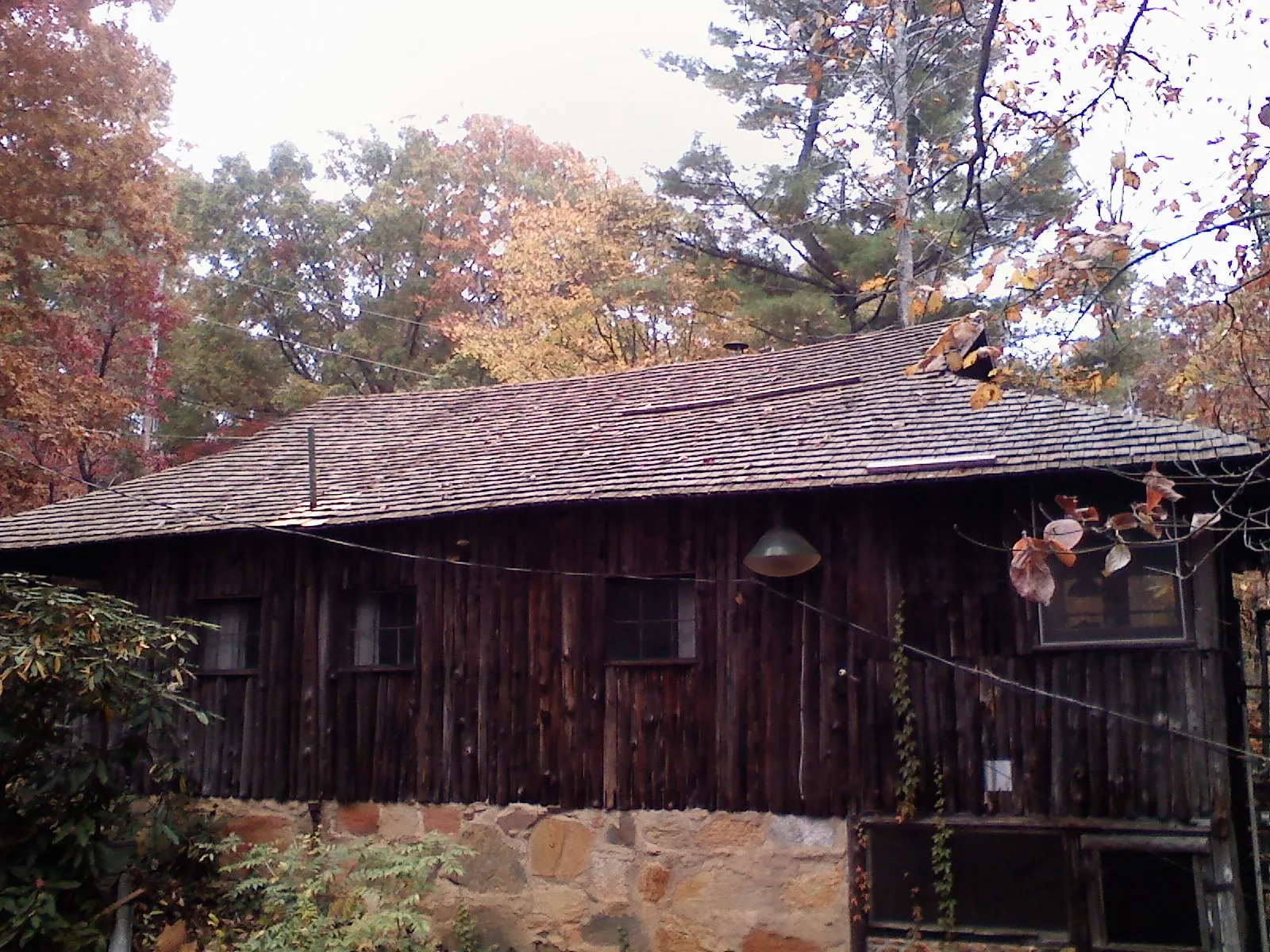 Weathered wood shake roof on a rustic board sided cabin in Usk